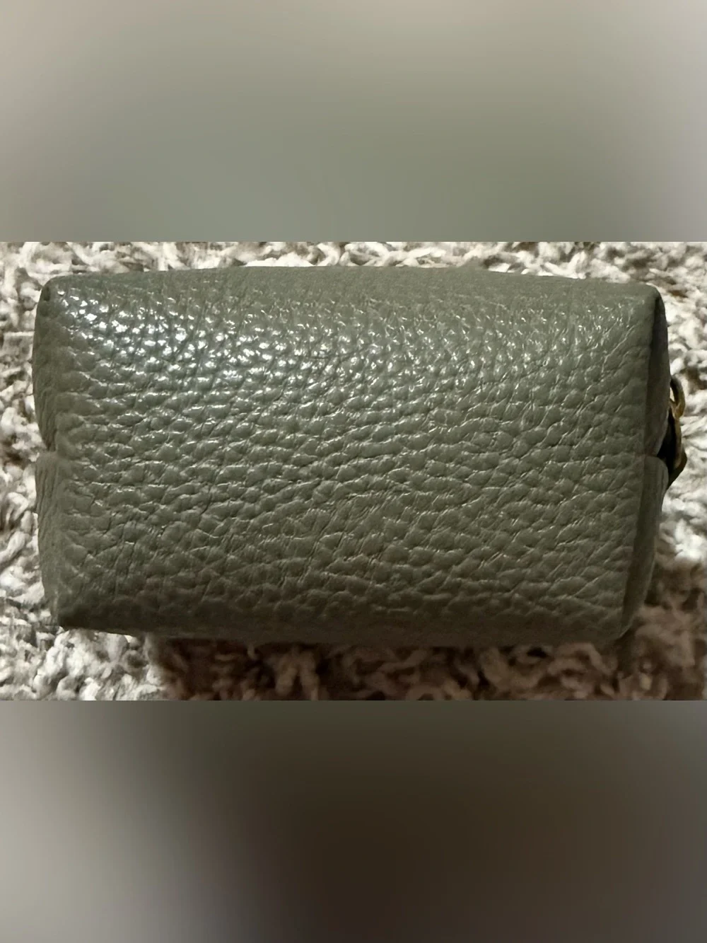 Steven Madden Mini Coin Pouch In Olive Green